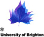 University of Brighton